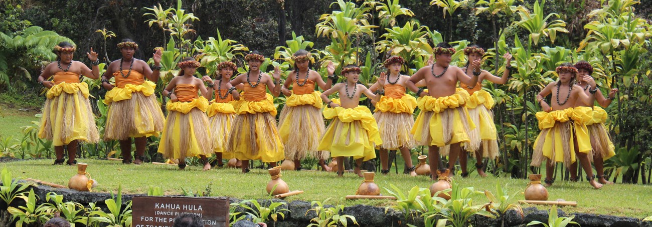 A group of children dance hula