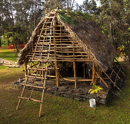 A traditional hawaiian house under construction
