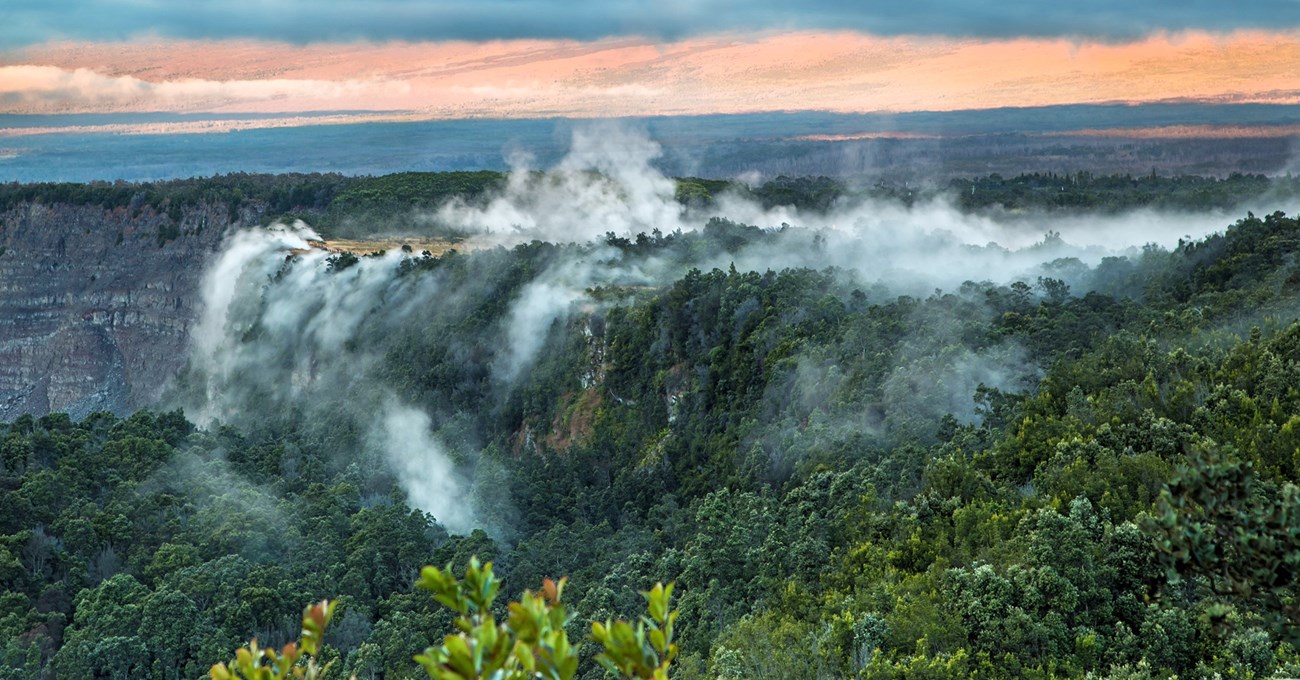 Steam rising from the forested edge of a volcanic crater