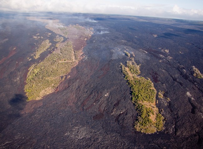 Aerial view of forested kīpuka surrounded by lava flows