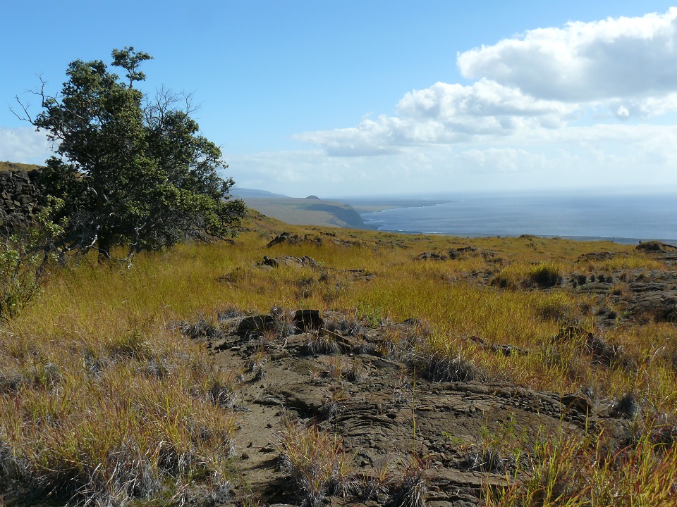 View of ocean, coastal cliffs and dry desert terrain from a trail in Hawaii Volcanoes National Park.