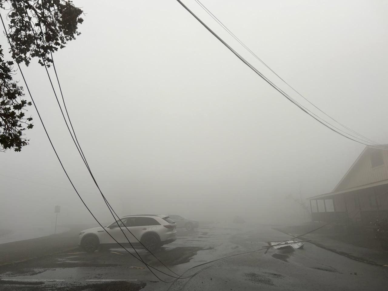 Downed power lines and thick fog on a park street