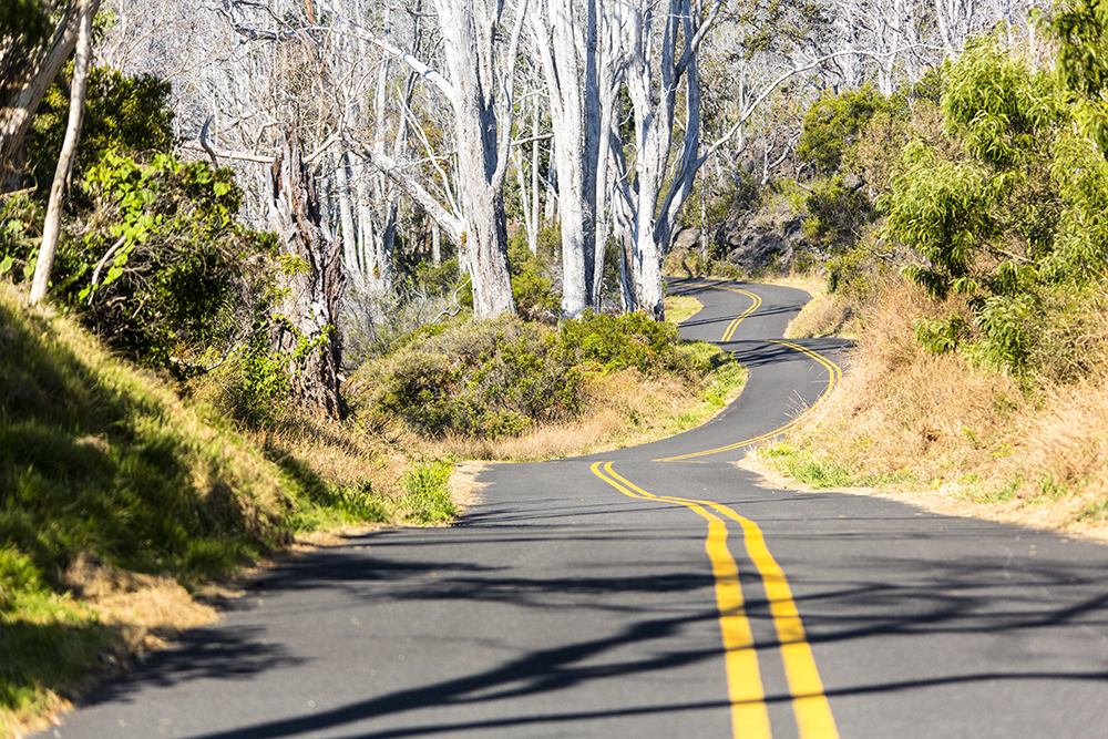 A two lane road winding through forest