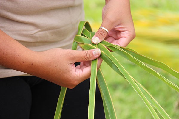 ‘Ulana niu, or coconut leaf weaving, is one of six special ‘Ike Hana No‘eau (Experience the Skillful Work) programs featured during the Merrie Monarch Festival to connect visitors to authentic Hawaiian cultural experiences.