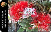 Public Lands pass with image of a lehua blossom.