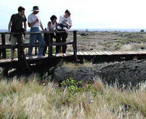 Visitors look at petroglyphs from the boardwalk