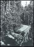 Old Christine Falls Bridge, Mt. Rainier National Park.