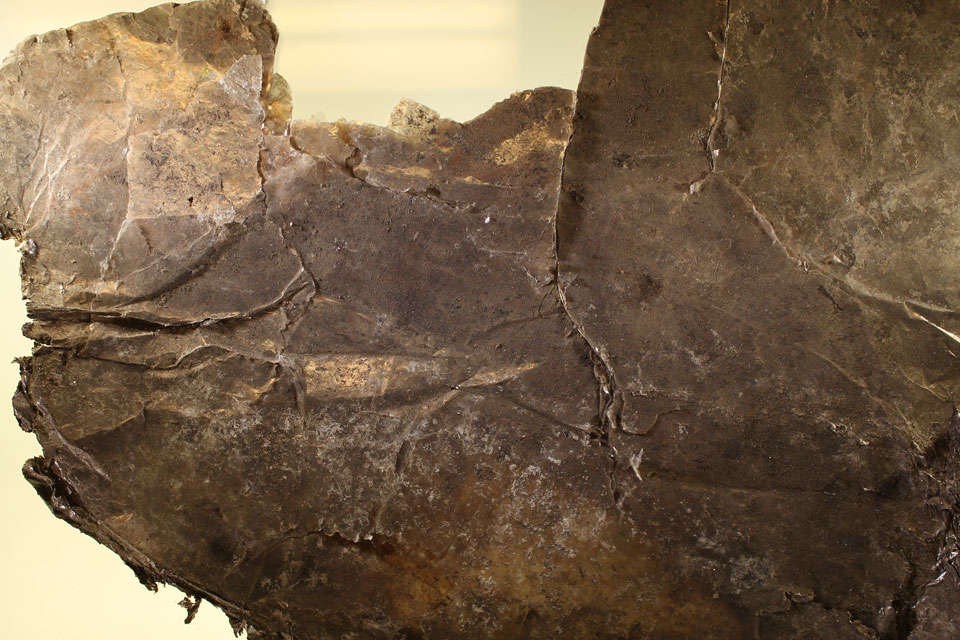 A large, dark-colored piece of rock-like material with flaky, shiny surfaces