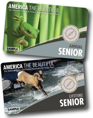 Cards with pictures of bighorn sheep and green frog