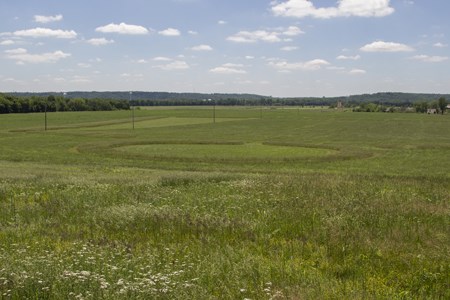 A large grassy field under a partly cloudy blue sky