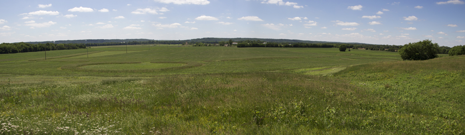 A wide angle shot of a large area of grassy plains