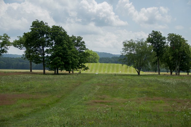 A large earthen mound surrounded by trees and grass-covered fields