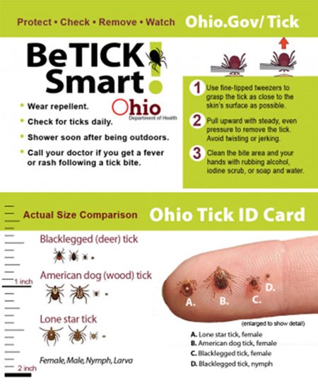 A card from the Ohio Dept of Health showing how to remove ticks and tick prevention steps