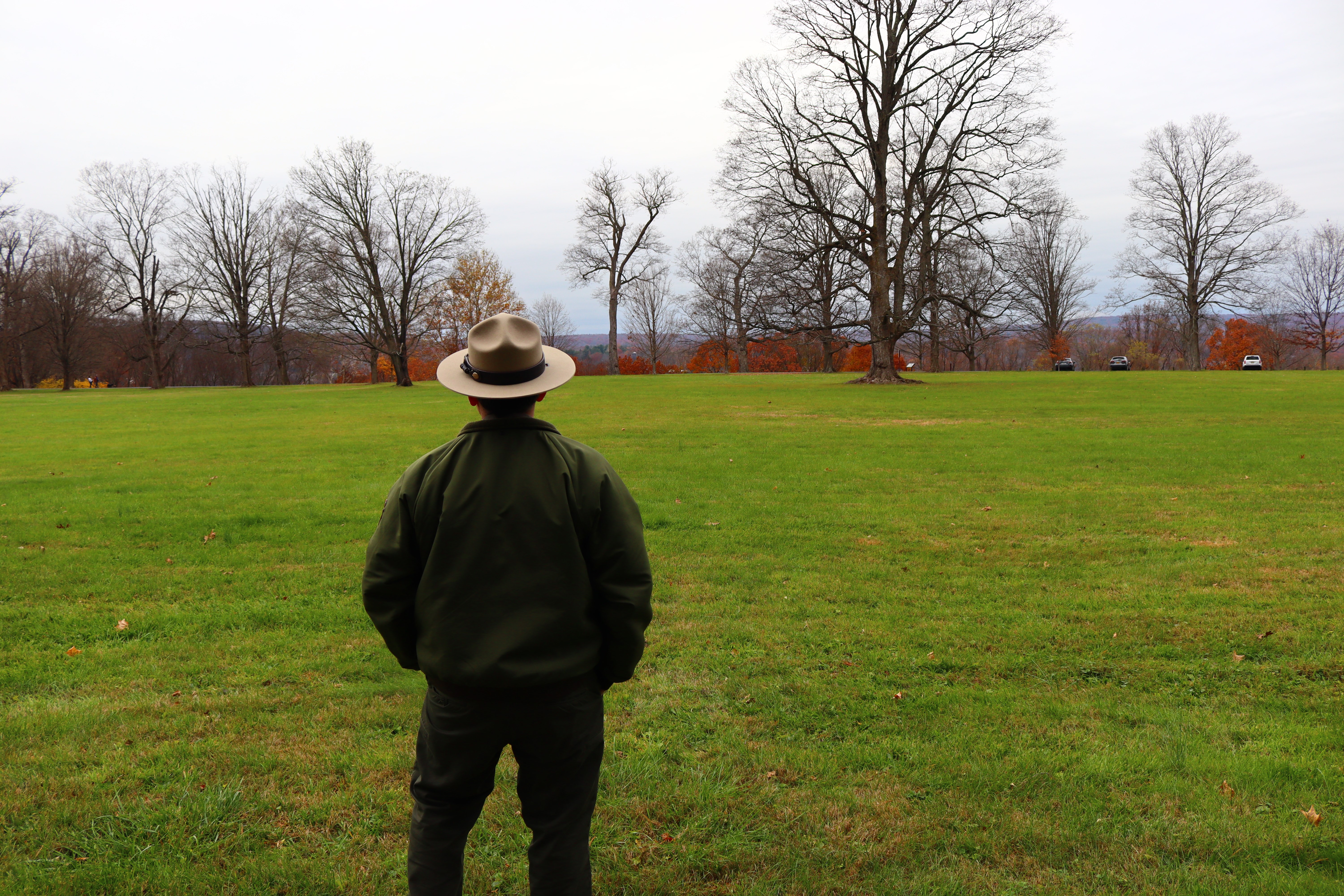 A male park ranger looks out across a field of green grass.