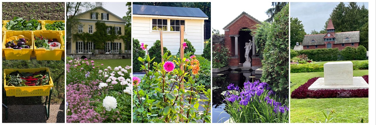 A collage of different gardens