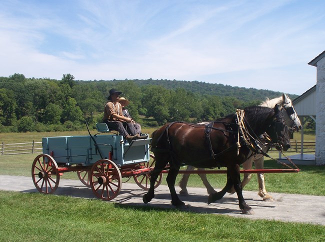 Two horses pull a wagon.