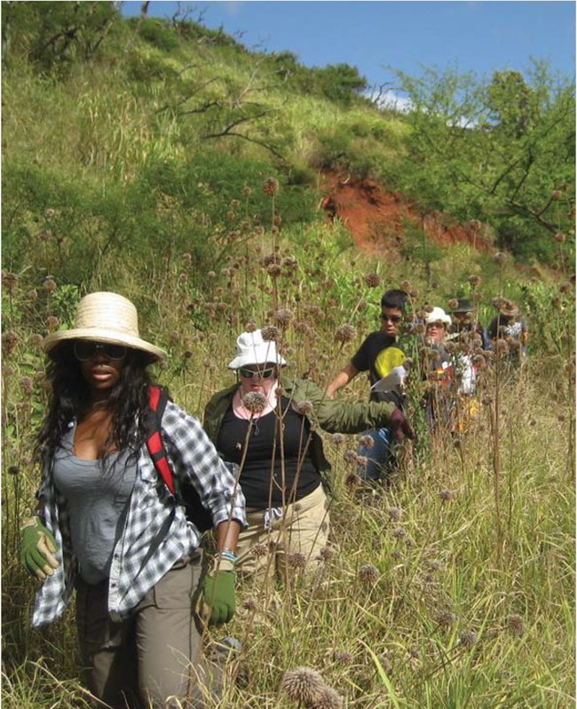Students walking through Honouliuli