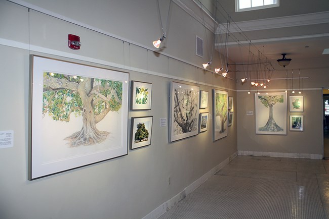 Interior view of the Ozark Cultural Center, the park's art gallery housed in the Ozark Bathhouse. Image shows artwork hanging on the walls with display lighting.