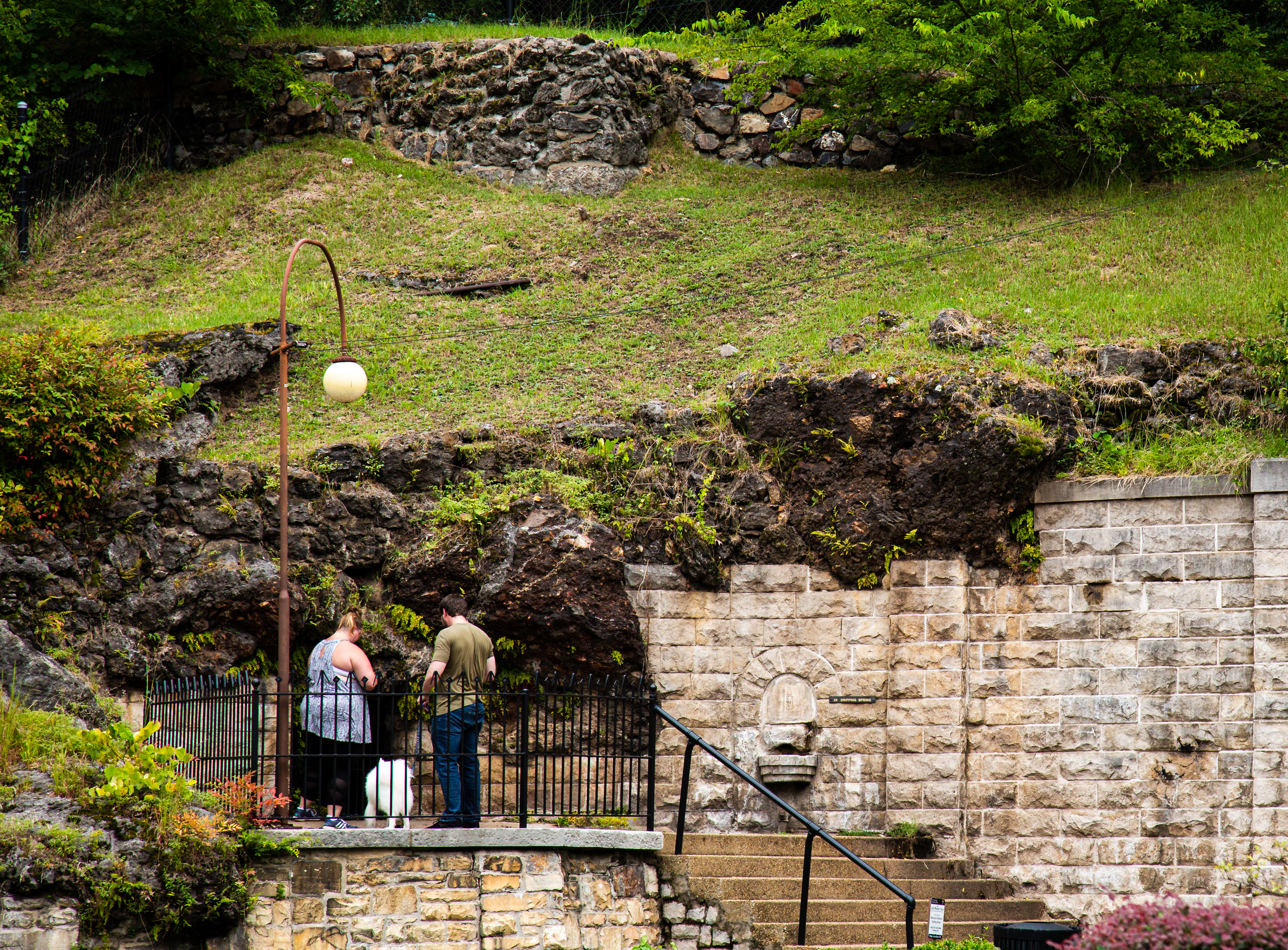 A couple and their dog exploring the display spring