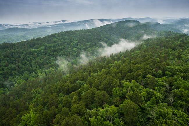 Green rolling hills, covered in forests with fog rising through the valleys.