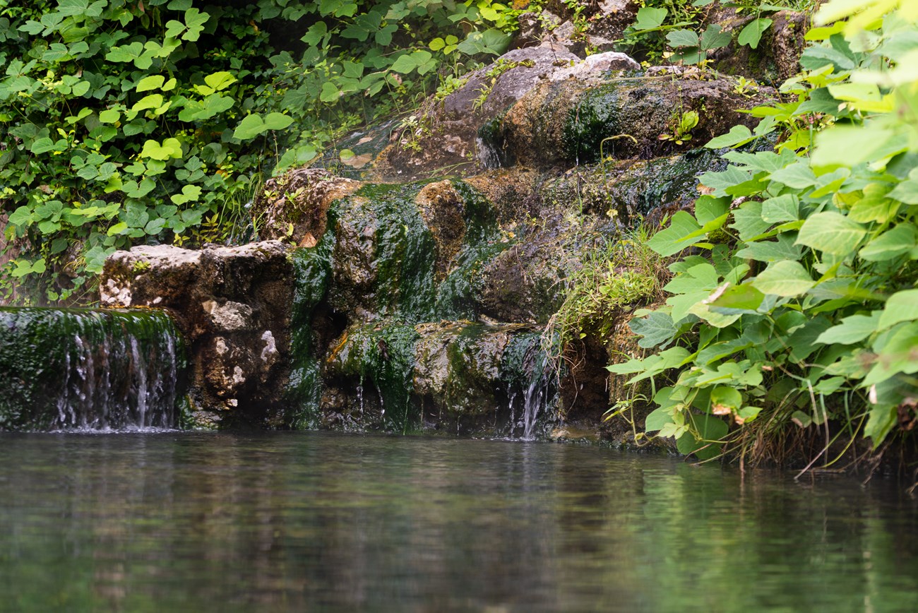 The Hot Water Cascade Spring flows down over algae on the rocks into a pool at Hot Springs National Park.