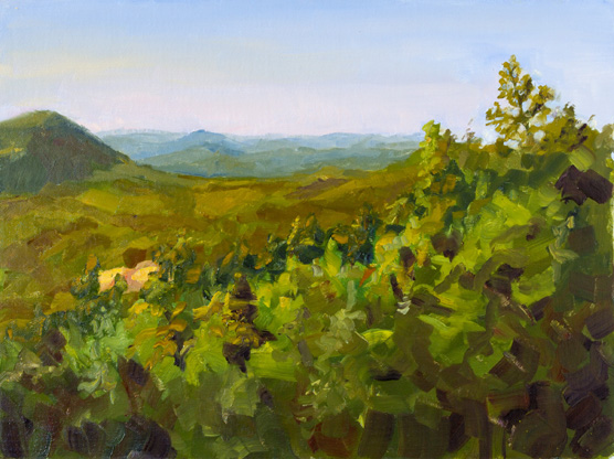 View from North Mountain Overlook in park, a view with very little human influence visible, green trees in the foreground looking out across the Gorge area to the mountains to the north