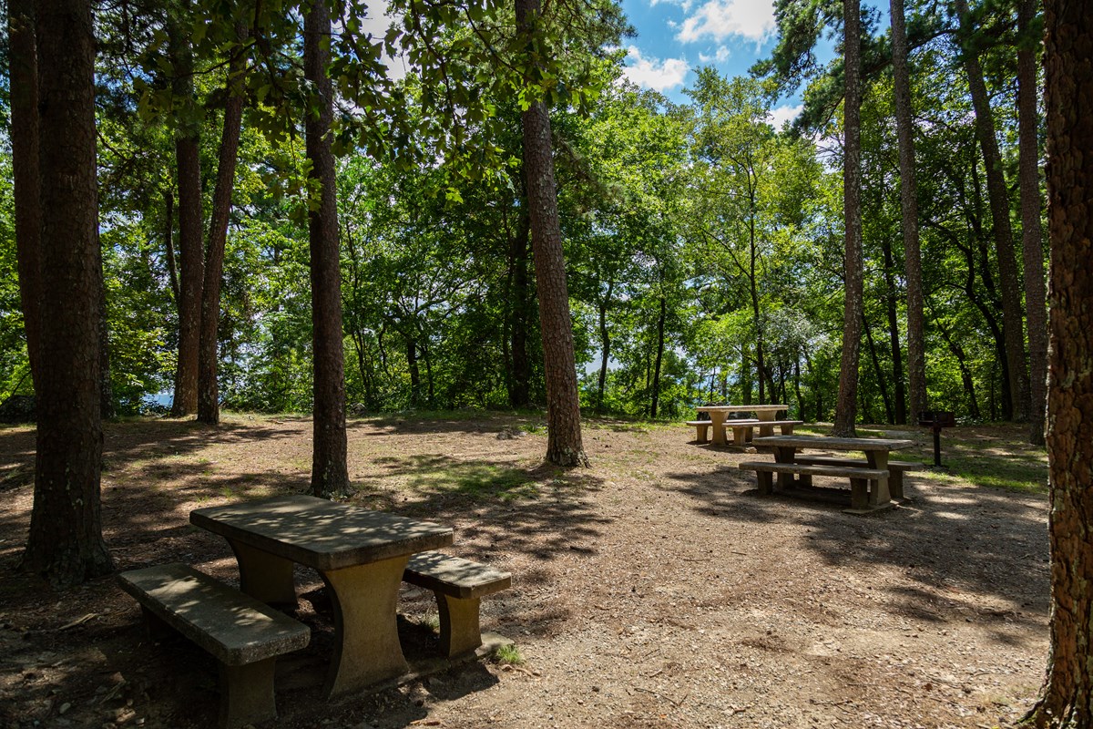 Picnicking Hot Springs National Park (U.S. National Park Service)