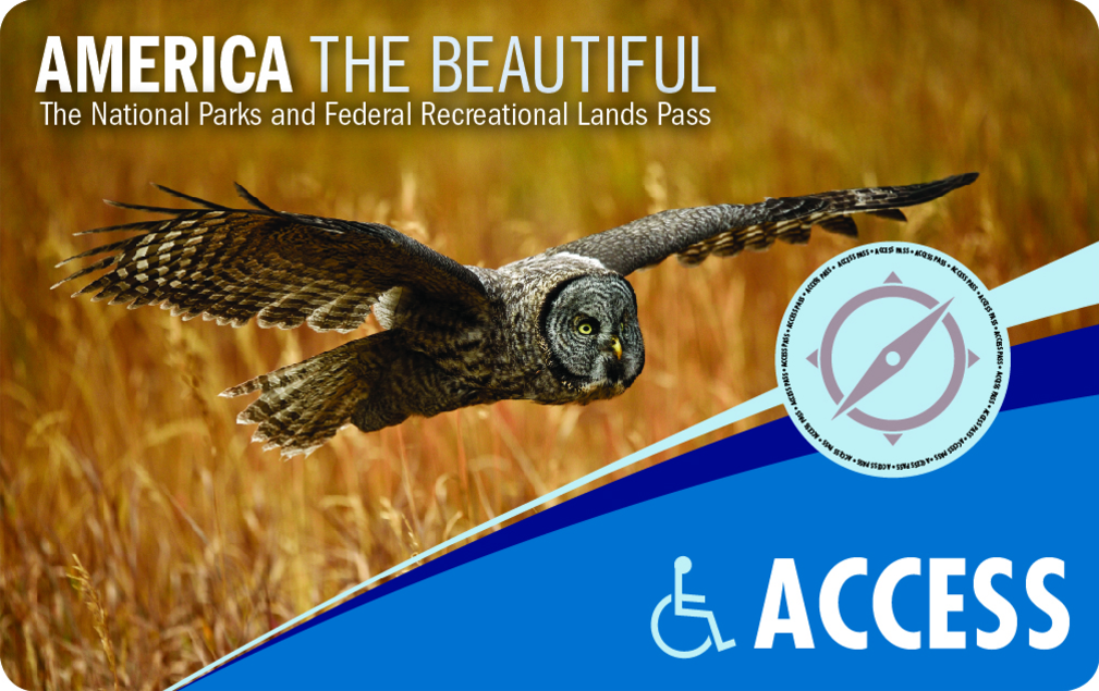 Front of the pass depicting a large gray owl flying over a golden field with the accessibility logo in the lower right corner.