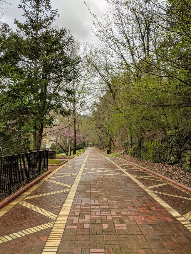 Red brick paved trail with budding trees on either side.