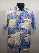 HSTR 17416, Hawaiian Surf