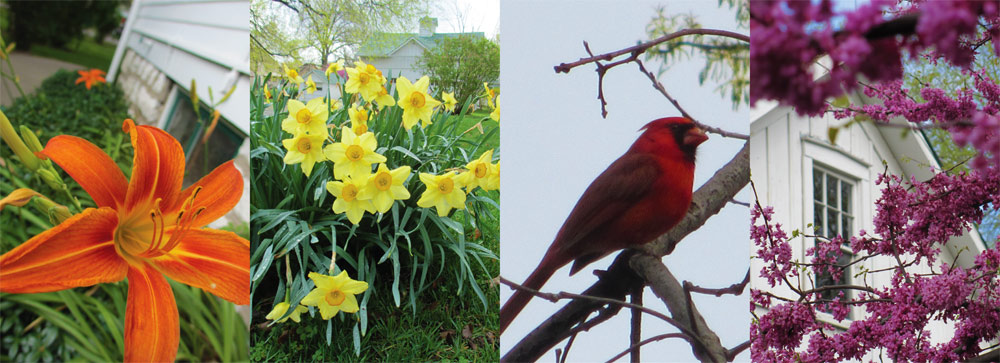 flora and fauna of Harry S Truman NHS