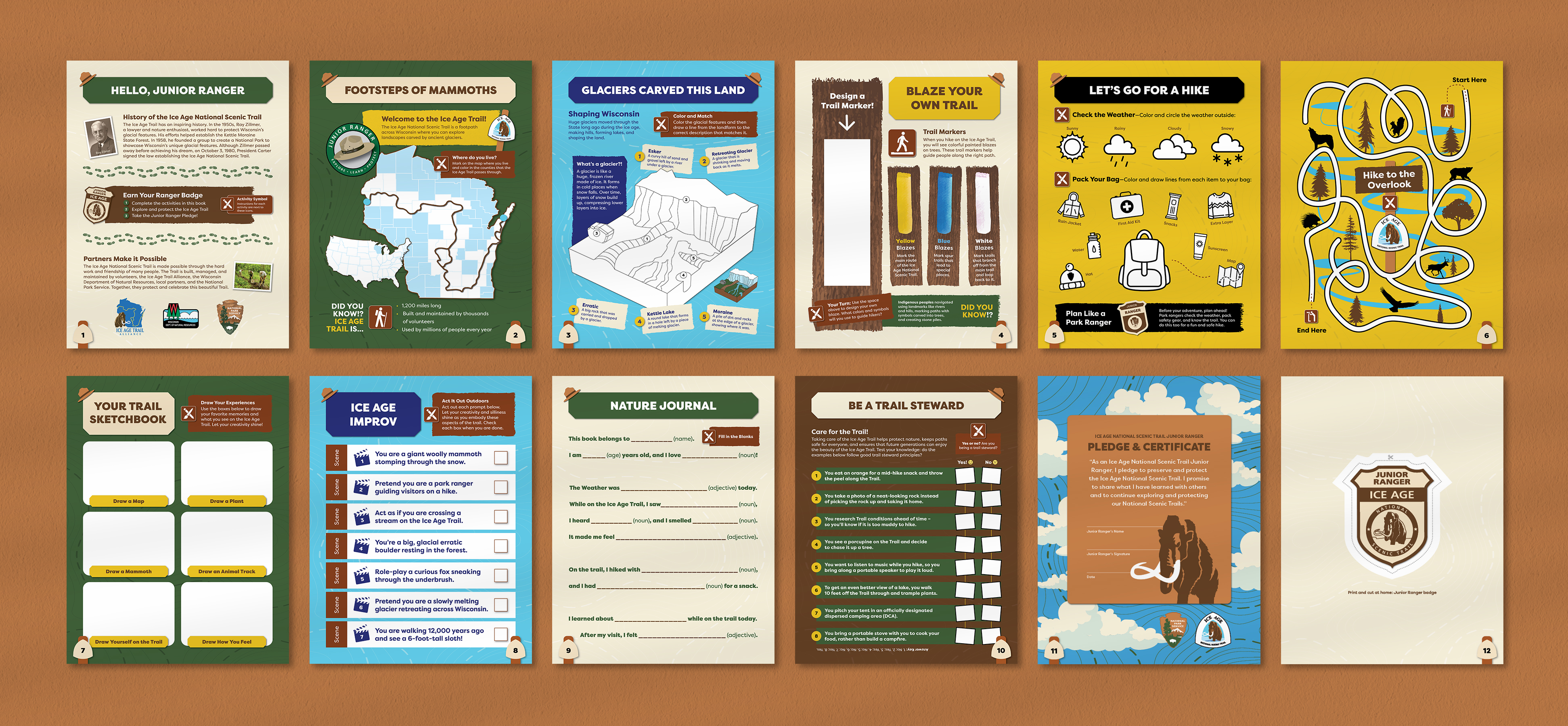 Illustration of pages of a junior ranger activity book.