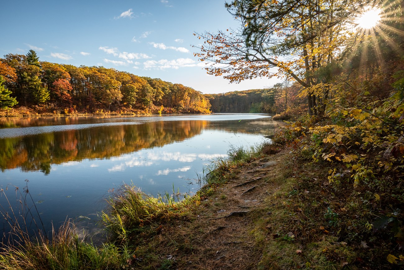 Photograph of lake surrounded by autumnal trees under a blue sky with morning sunlight.