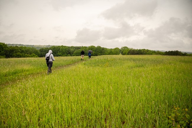 Photograph of group of people hiking through a large grassy field with trees in the background under a cloudy sky.