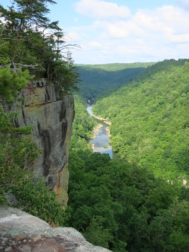 View from Angel Falls Overlook. Cliff to the left and river in the background