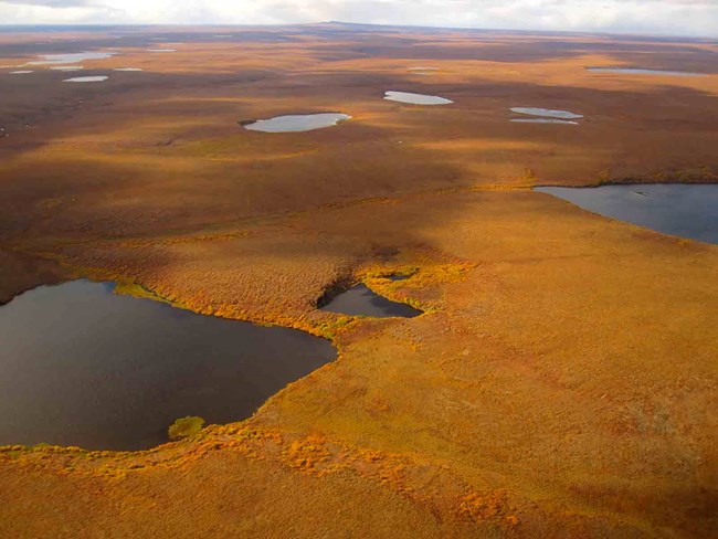 An aerial view of the tundra in fall color and lakes in BELA.
