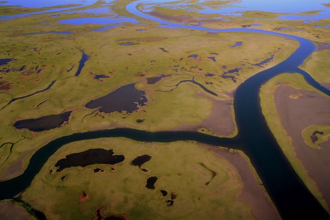 The Noatak River Delta, a huge estuary.