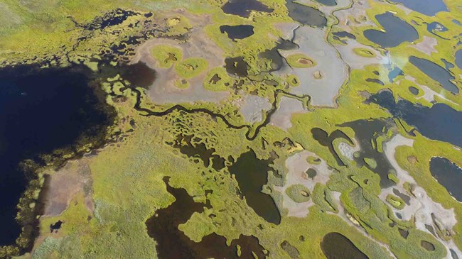 An aerial view of coastal lagoons, streams, and shallow lakes.