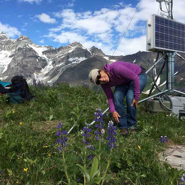 A climate station high in the mountains in summer.