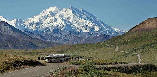 Buses with visitors view Denali peak.