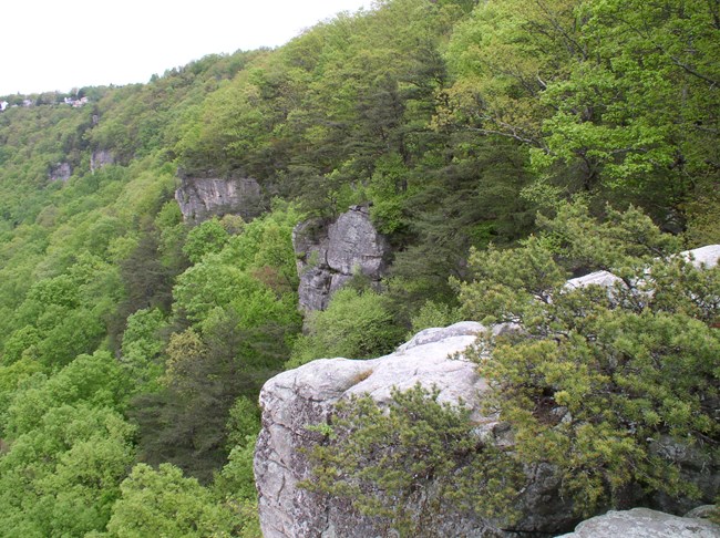 Sandstone cliffs at Chickamauga and Chattanooga National Military Park.