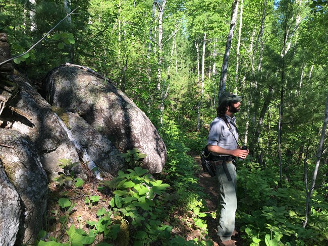 A bearded man in a green and gray uniform stands in a sun-dappled forest besides a boulder that is taller than he is. He is holding a pair of binoculars and looking into the forest.