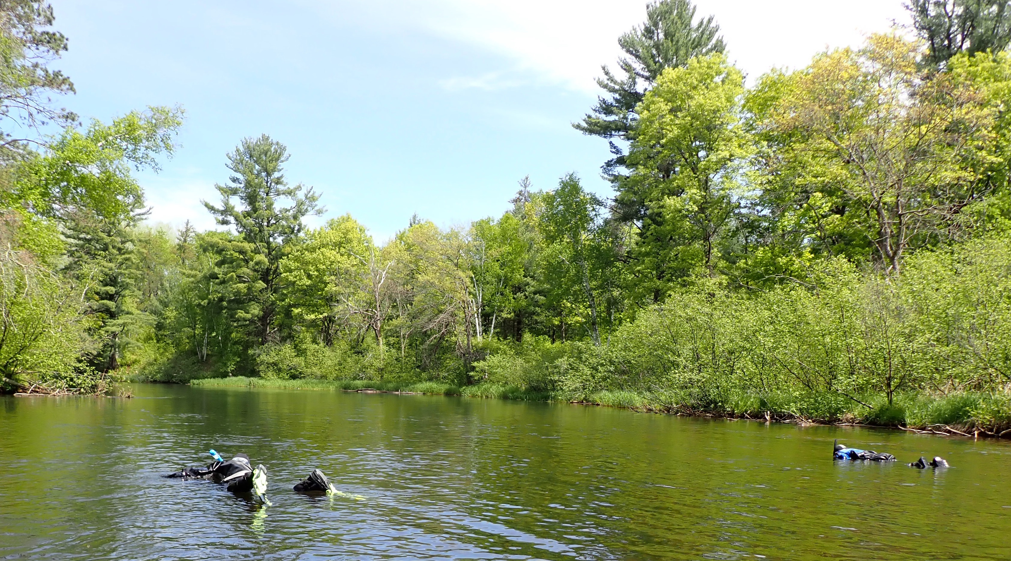 Two people lie prone on opposite sides of a calm river surrounded by trees and sunshine. The people are wearing blue and black diving suits and have a snorkel protuding above the surface next to their heads.
