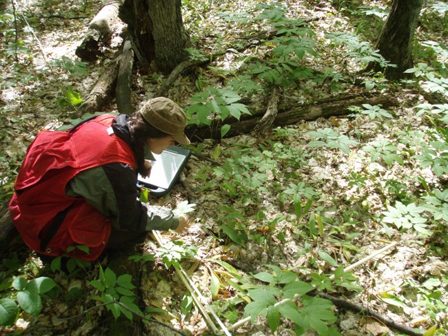 Woman in a red vest and brown hat kneels on the forest floor with a clipboard in hand.