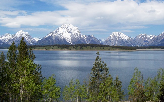 View of snow-capped Teton Range with Jackson Lake and forest in foreground
