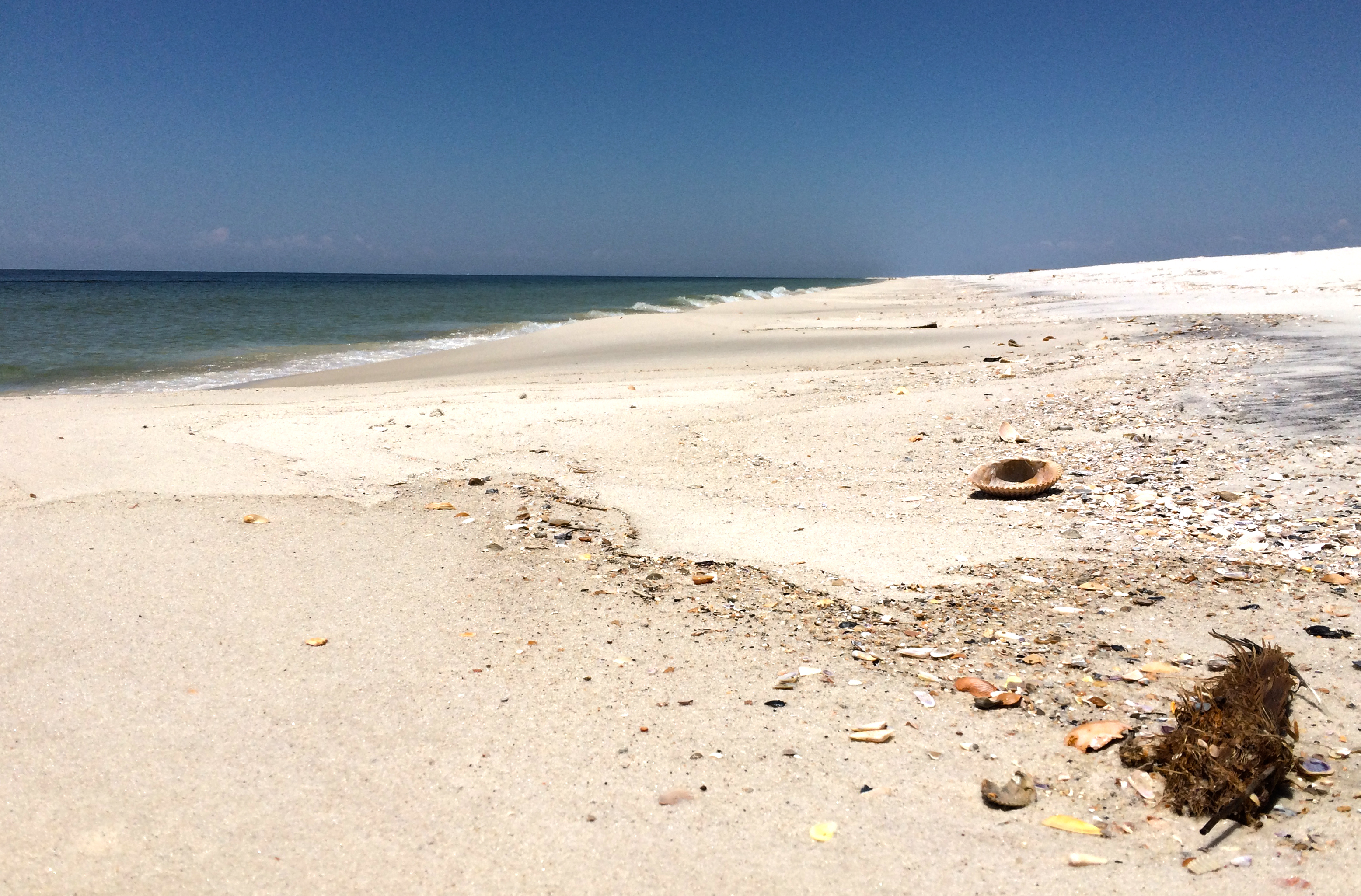 close-up view of swash line used for shoreline monitoring at Horn Island
