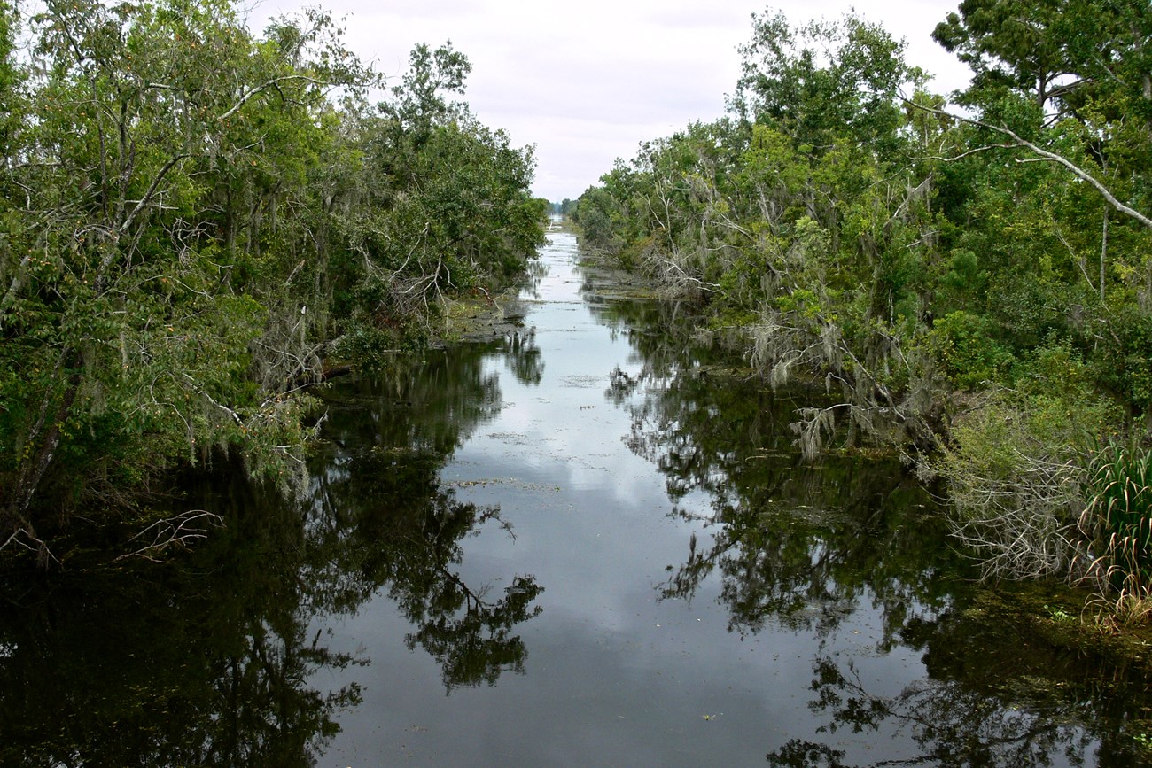 view from bridge over canal in the Barataria Preserve, Jean Lafitte NHP&P