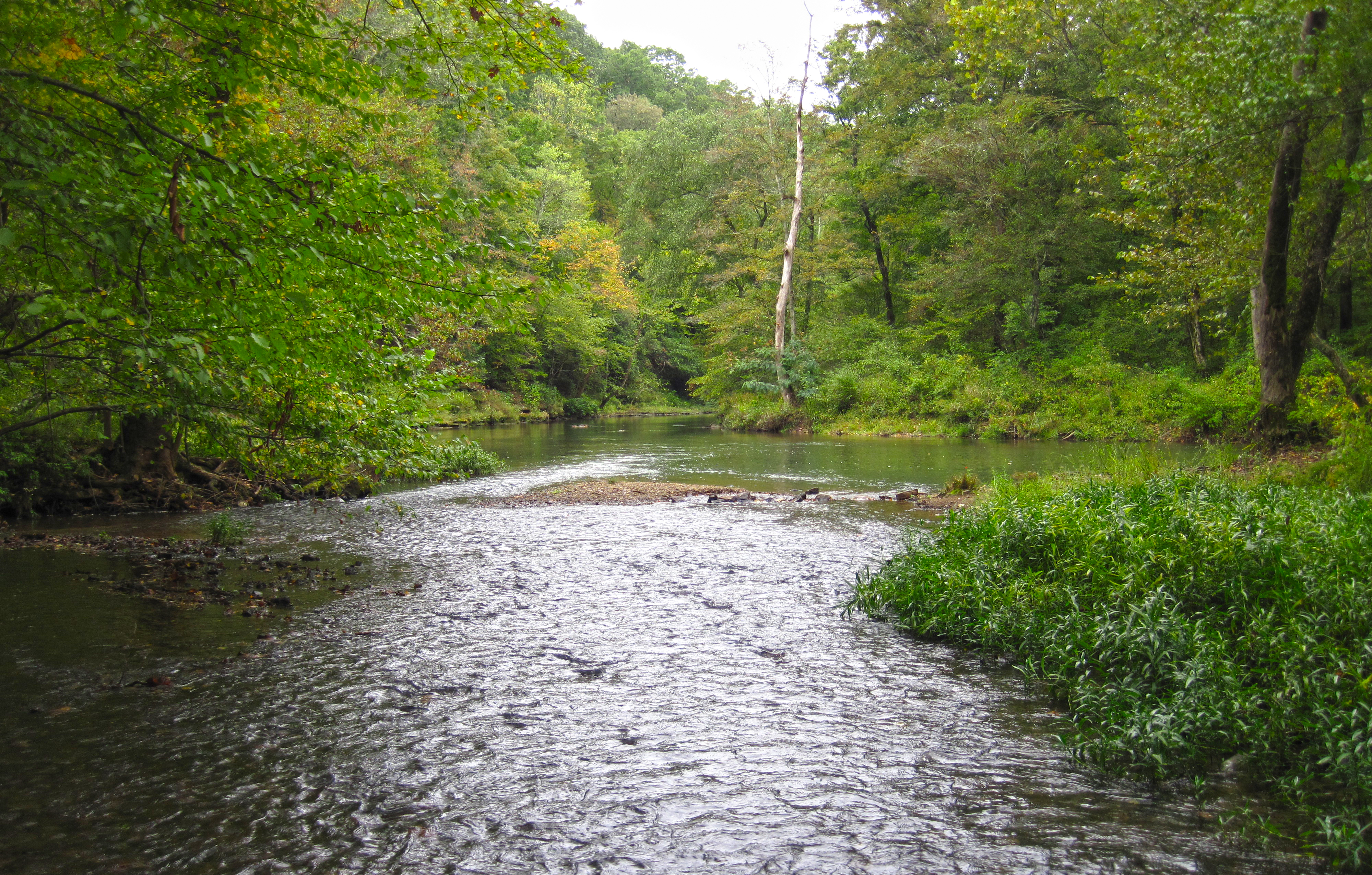 view at a river crossing on the Natchez Trace Parkway