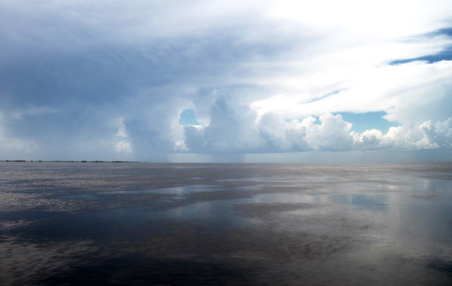 view of the upper laguna madre with water and seagrass beds in the foreground and storm clouds in the distance