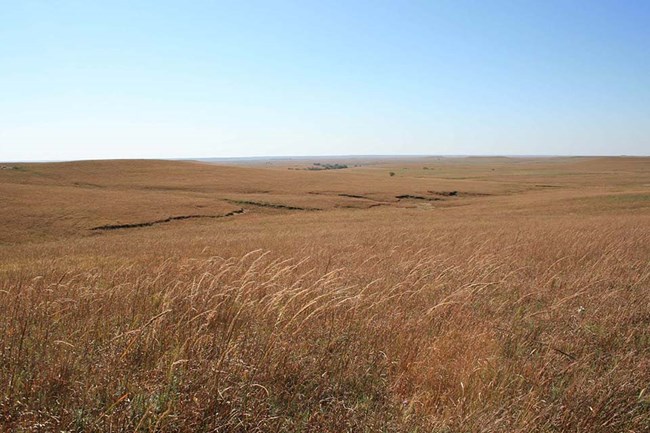 Landscape photo at Tallgrass Prairie National Preserve
